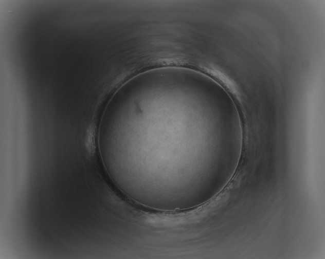 X0000101090009200806261501