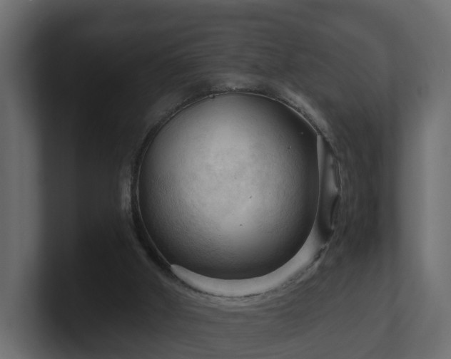 X0000101090010200806261501