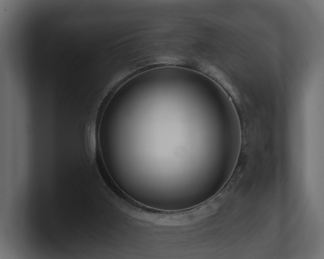 X0000101090011200806261501