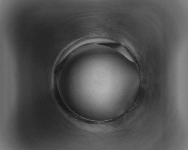 X0000101090012200806261501