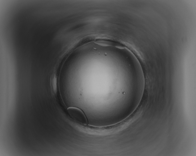 X0000101090014200806261501