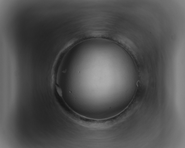 X0000101090016200806261501