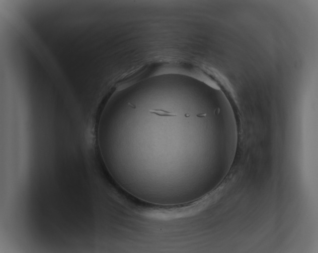 X0000101090017200806261501