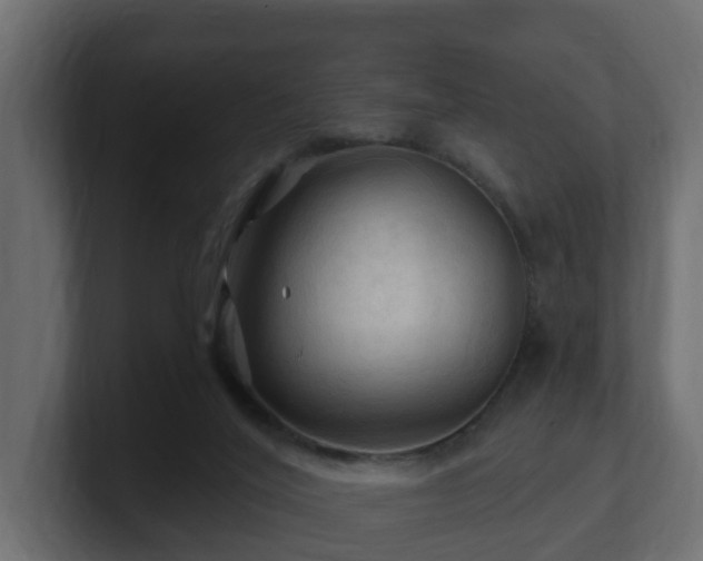 X0000101090020200806261501