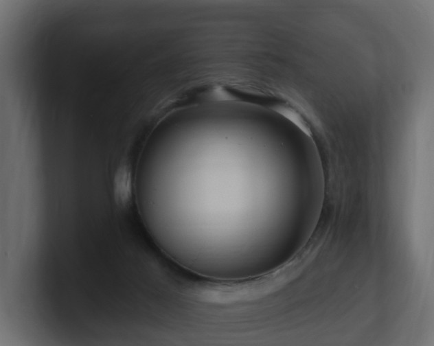 X0000101090021200806261501