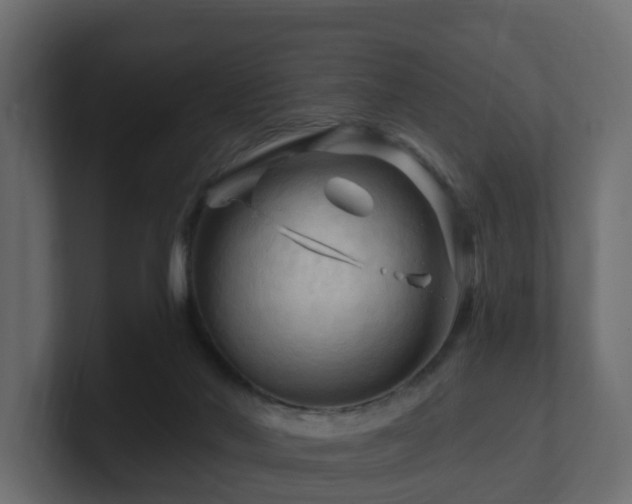 X0000101090022200806261501