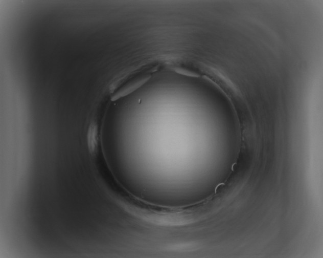 X0000101090024200806261501