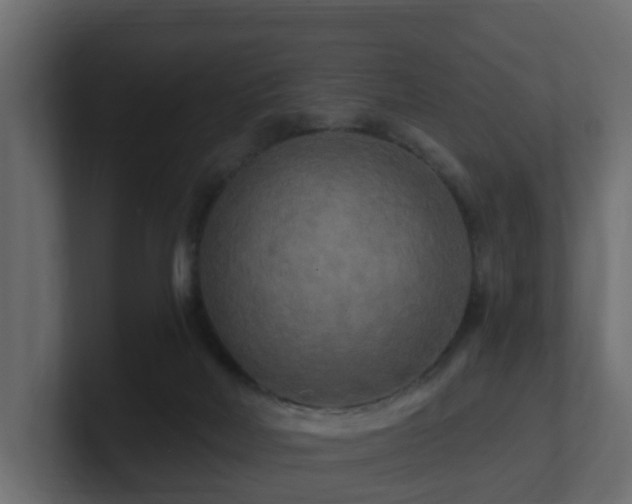 X0000101090026200806261501