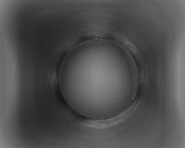 X0000101090029200806261501