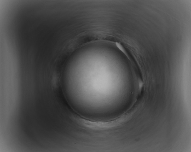 X0000101090034200806261500