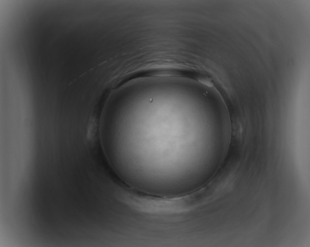 X0000101090036200806261500