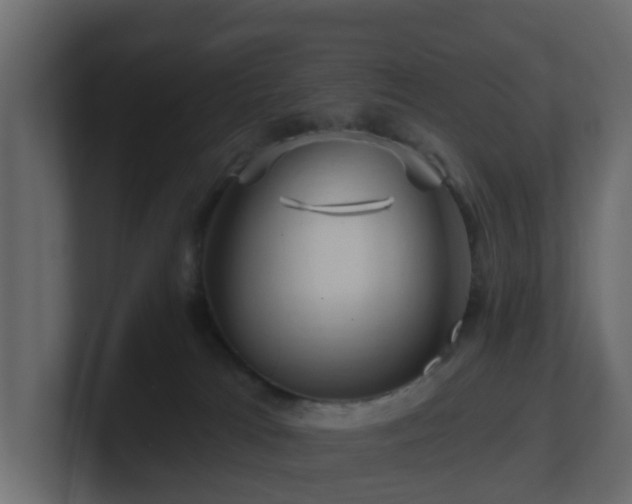 X0000101090037200806261500