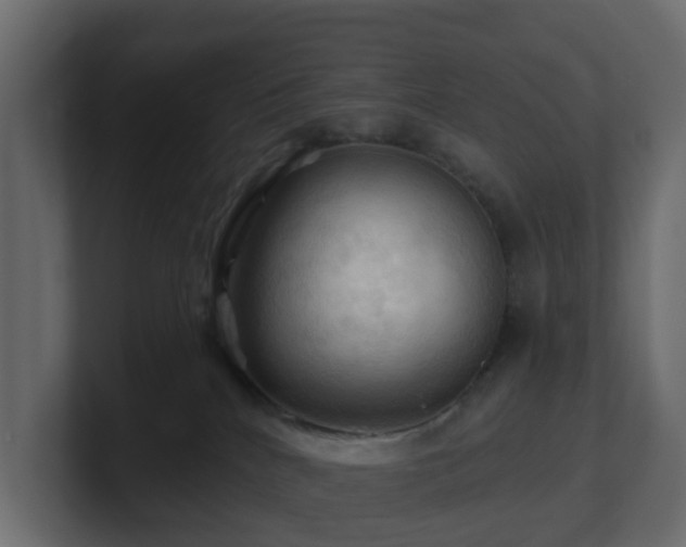 X0000101090040200806261500