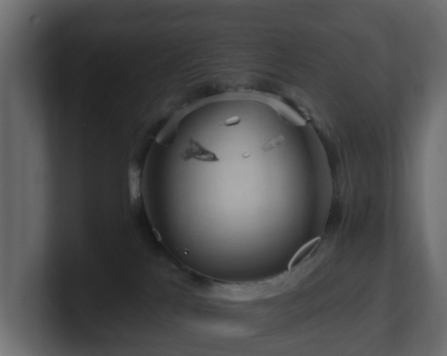 X0000101090041200806261500