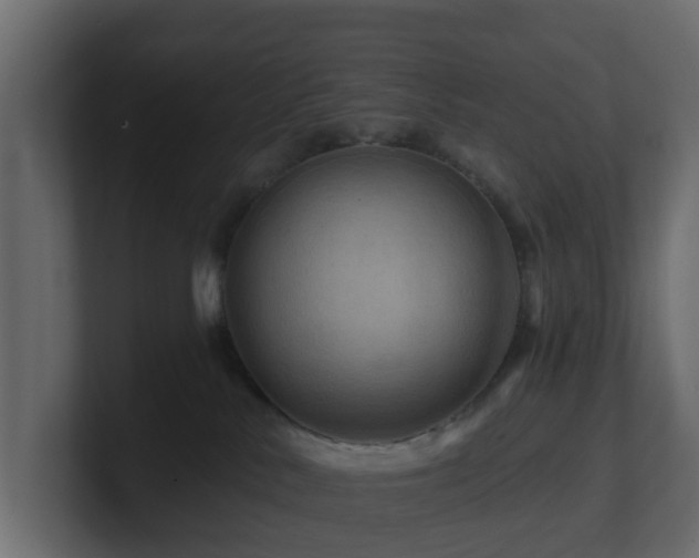 X0000101090042200806261500