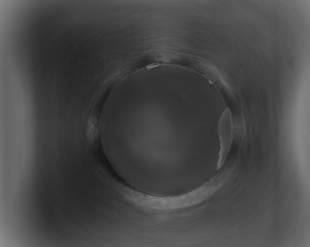 X0000101090043200806261500