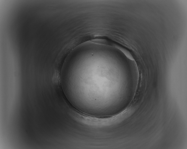 X0000101090048200806261500