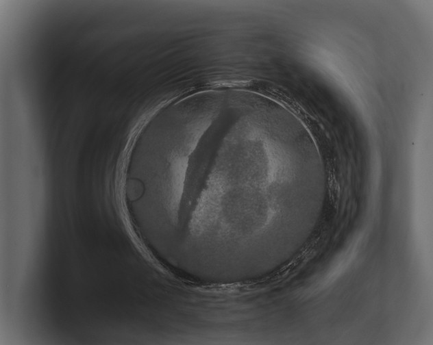 X0000101090049200806261500