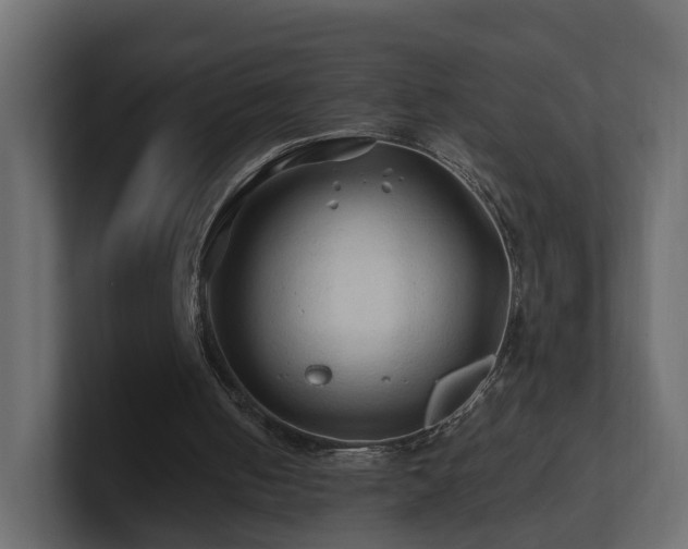 X0000101090050200806261500