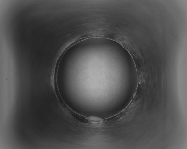 X0000101090052200806261500