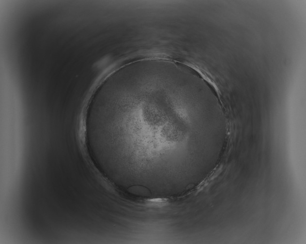 X0000101090053200806261500