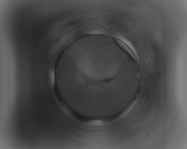 X0000101090061200806261500