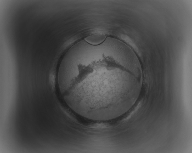 X0000101090063200806261500