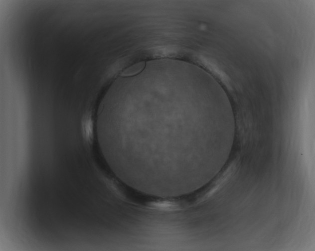 X0000101090067200806261500