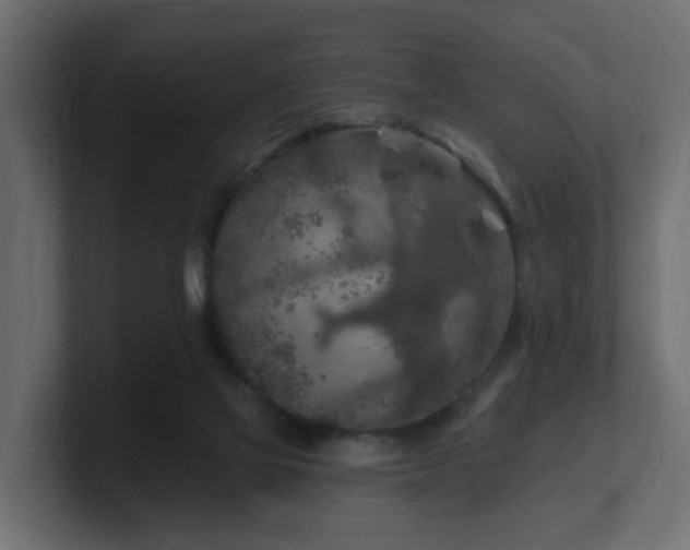 X0000101090069200806261500