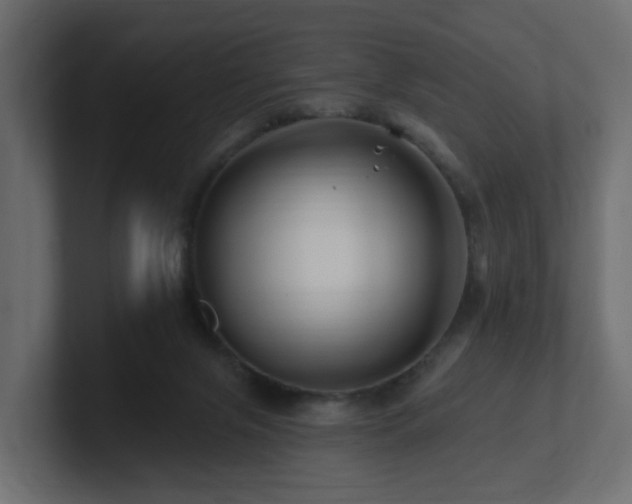 X0000101090071200806261500