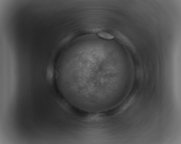 X0000101090072200806261500