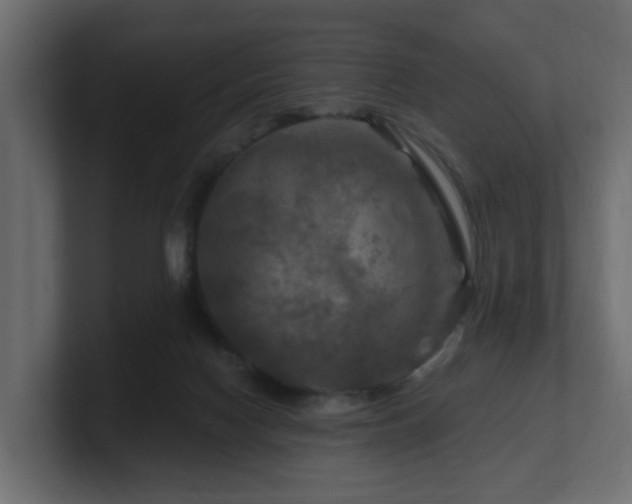 X0000101090074200806261500