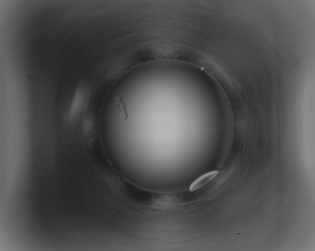 X0000101090079200806261500