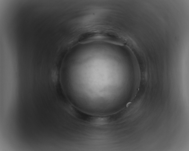 X0000101090081200806261500