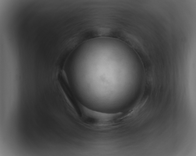 X0000101090082200806261500