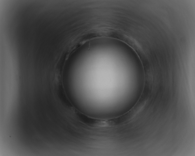 X0000101090083200806261500