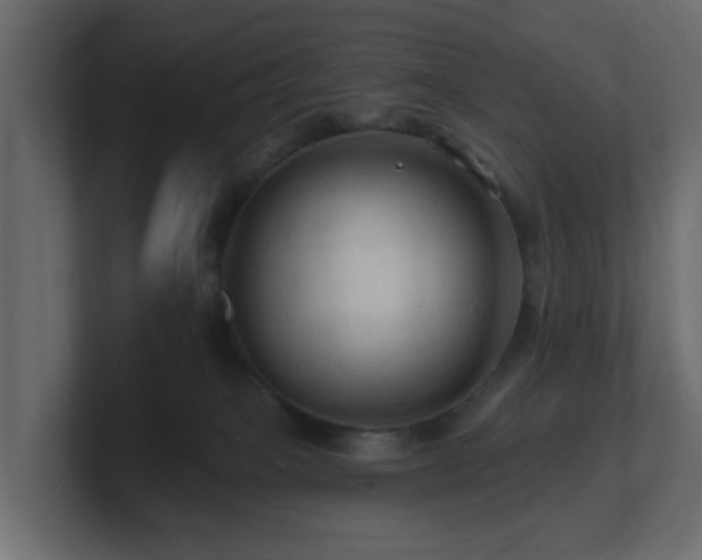 X0000101090085200806261500