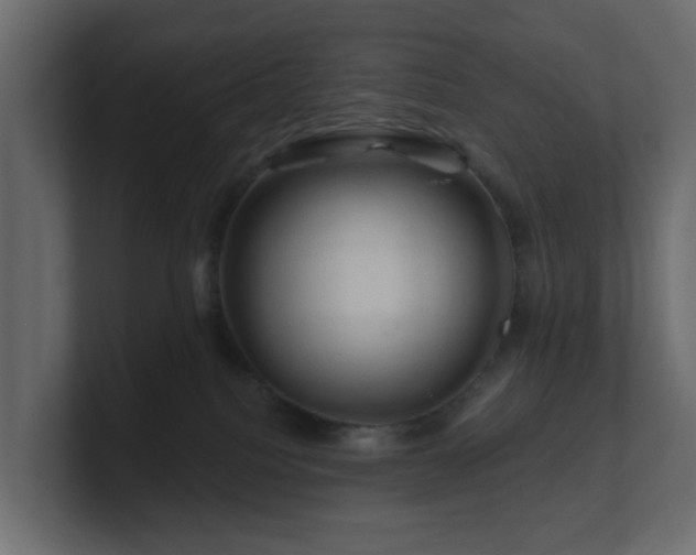 X0000101090088200806261500