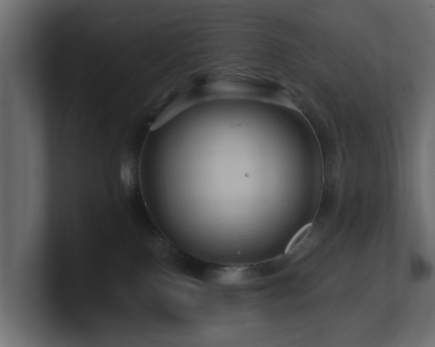 X0000101090090200806261500