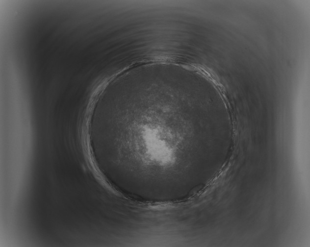 X0000101090097200806261500