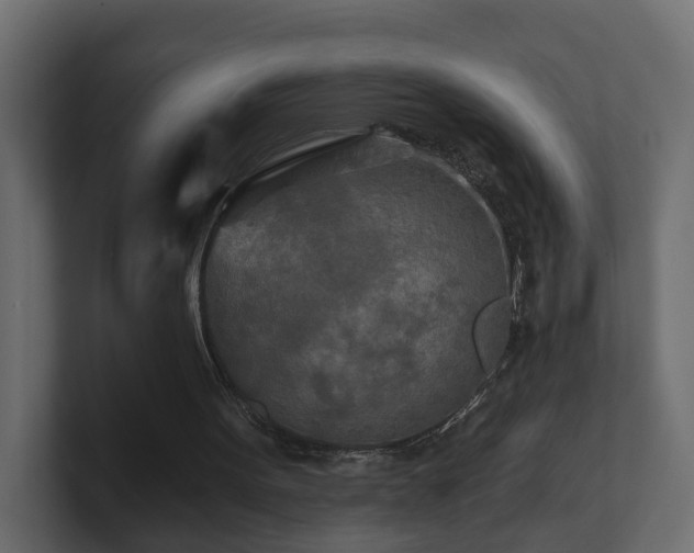 X0000101090099200806261500