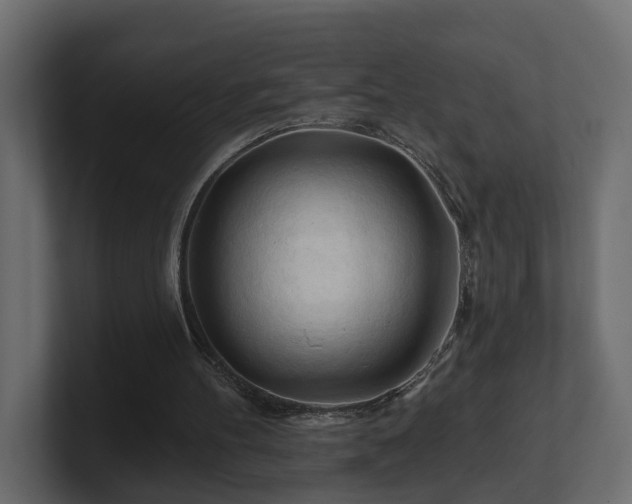 X0000101090100200806261500