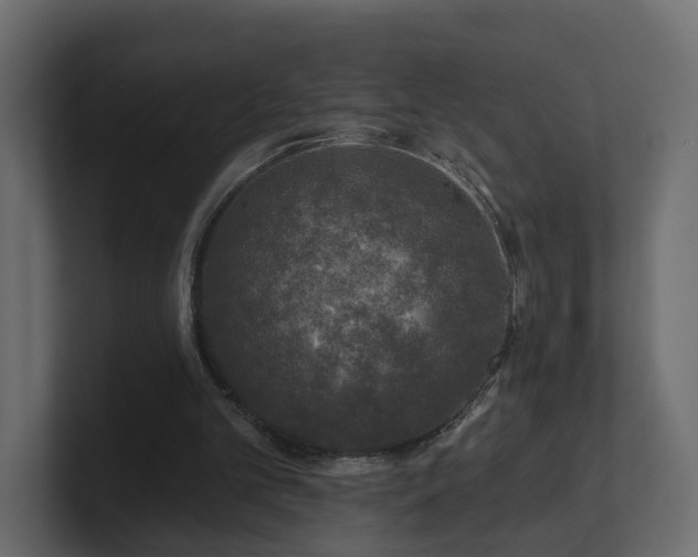 X0000101090101200806261500