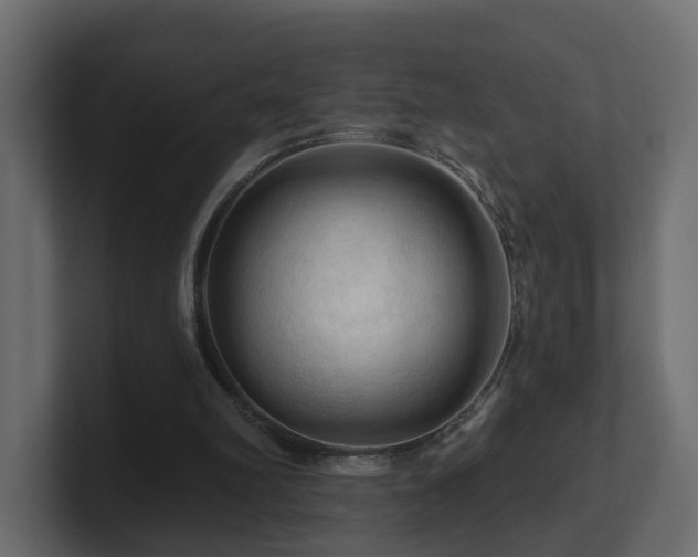 X0000101090102200806261500