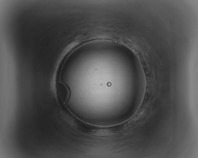 X0000101090104200806261500