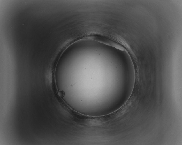 X0000101090106200806261459