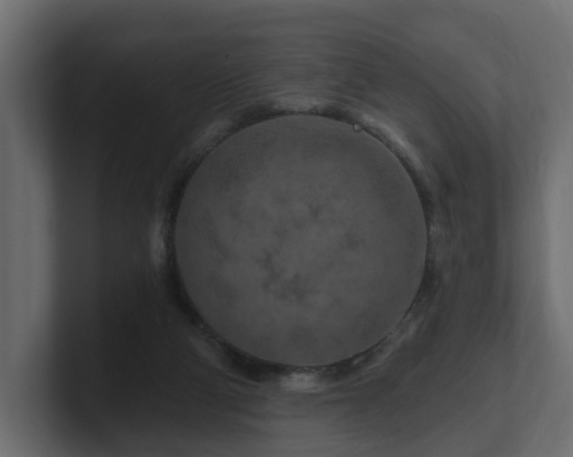 X0000101090114200806261459