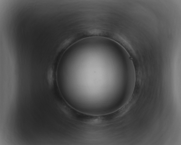 X0000101090116200806261459