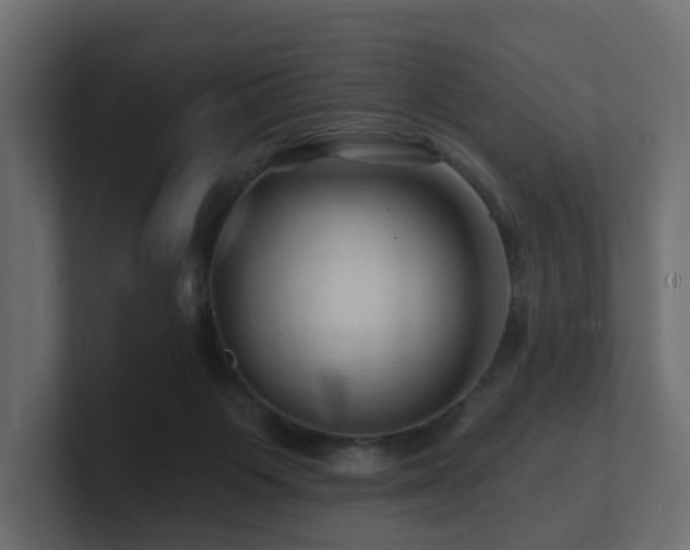 X0000101090119200806261459