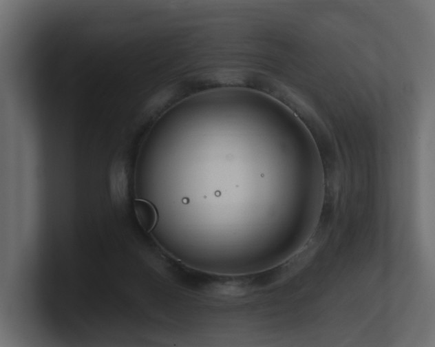 X0000101090120200806261459